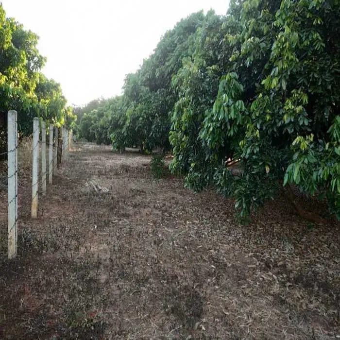 Photograph from the source listing, not taken by us.