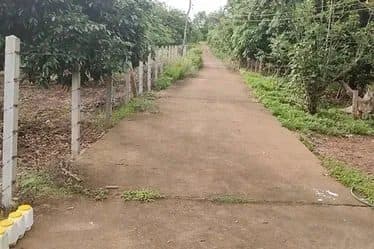 ภาพจากประกาศต้นทาง ไม่ใช่ภาพที่เราถ่ายเอง