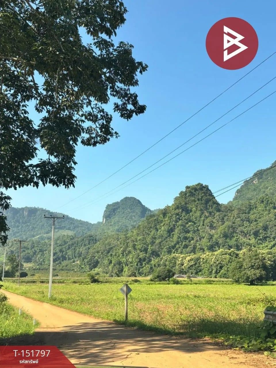 ภาพจากประกาศต้นทาง ไม่ใช่ภาพที่เราถ่ายเอง