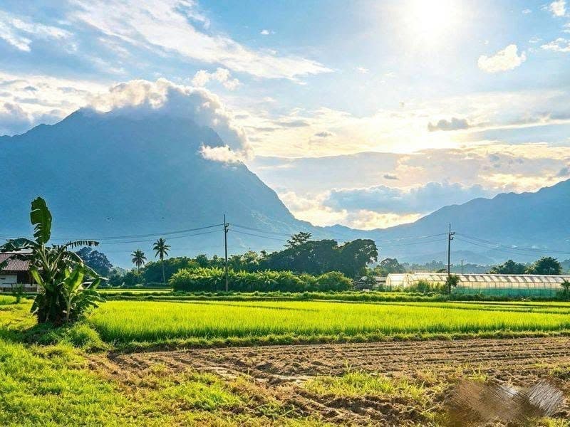 ภาพจากประกาศต้นทาง ไม่ใช่ภาพที่เราถ่ายเอง