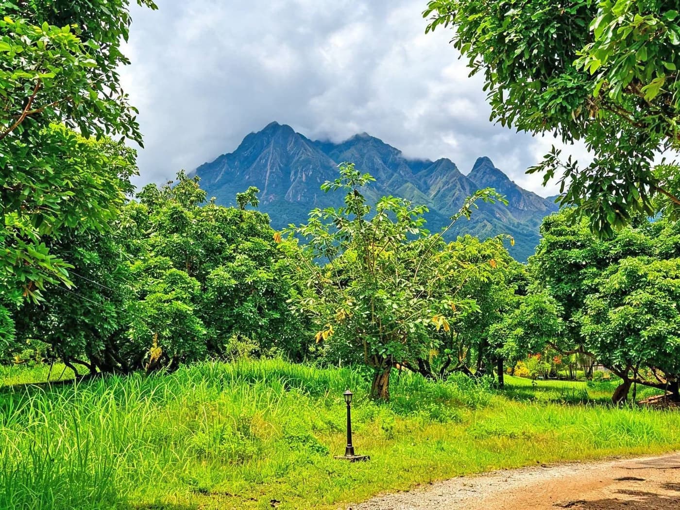 ภาพจากประกาศต้นทาง ไม่ใช่ภาพที่เราถ่ายเอง