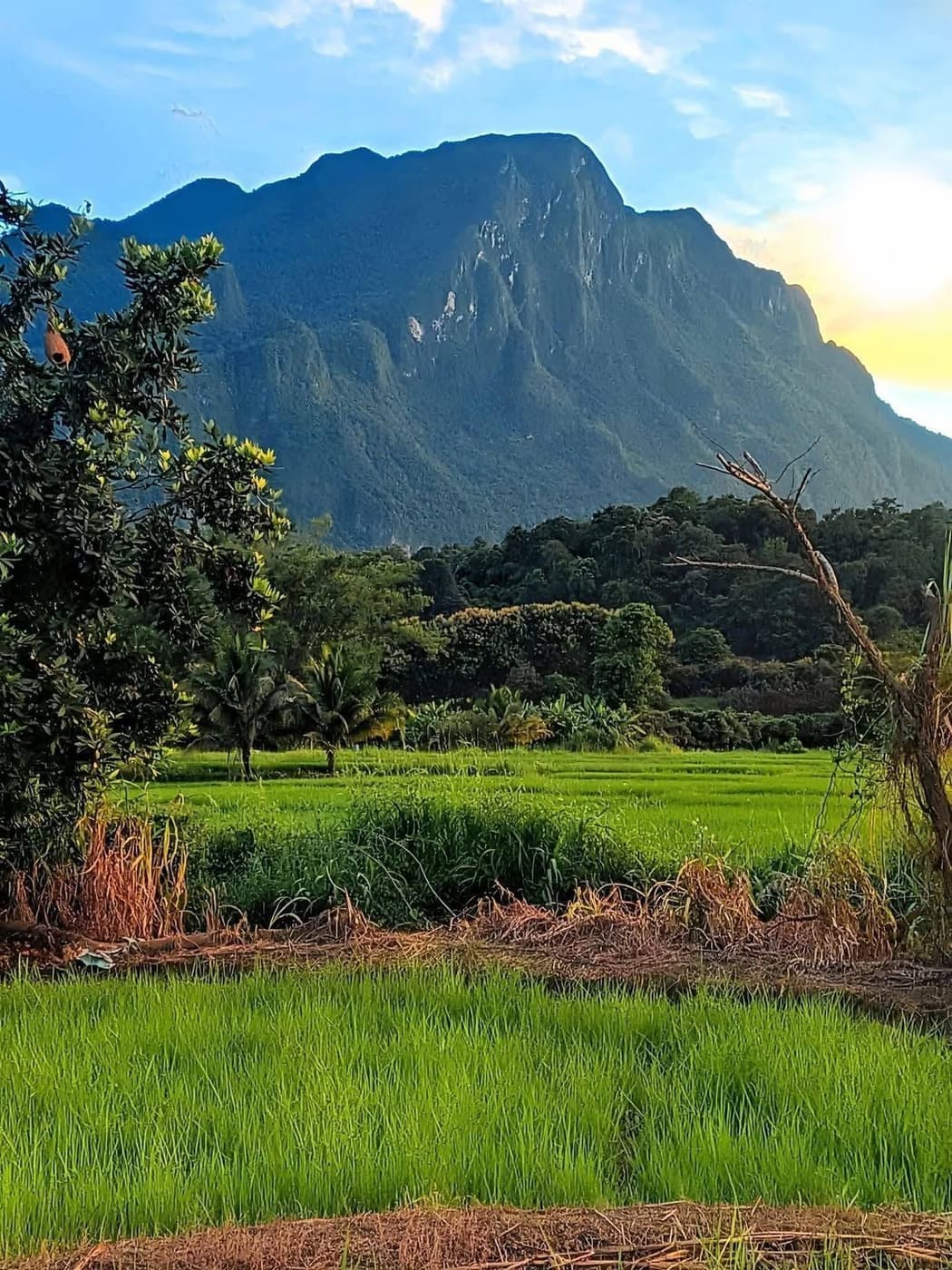 ภาพจากประกาศต้นทาง ไม่ใช่ภาพที่เราถ่ายเอง