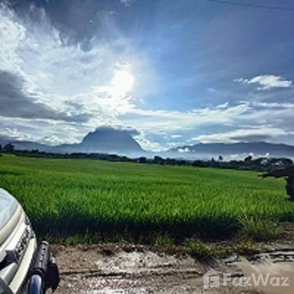 ภาพจากประกาศต้นทาง ไม่ใช่ภาพที่เราถ่ายเอง