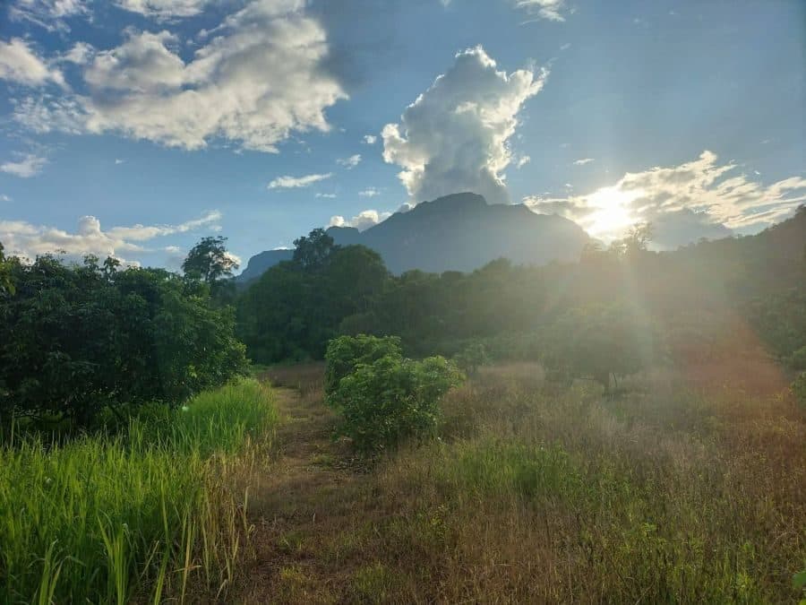 ภาพจากประกาศต้นทาง ไม่ใช่ภาพที่เราถ่ายเอง