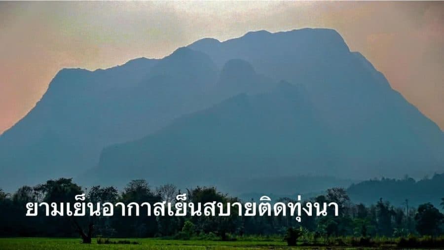 ภาพจากประกาศต้นทาง ไม่ใช่ภาพที่เราถ่ายเอง