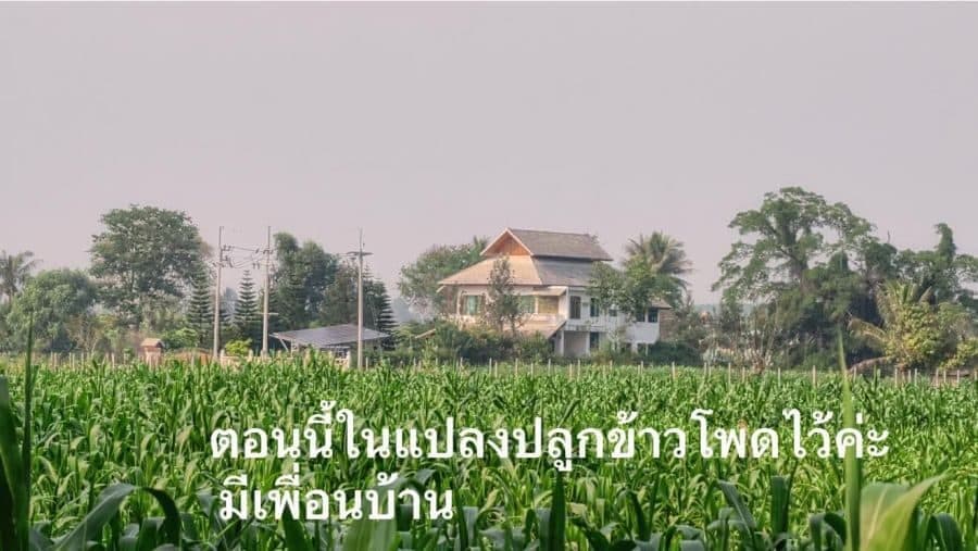 ภาพจากประกาศต้นทาง ไม่ใช่ภาพที่เราถ่ายเอง