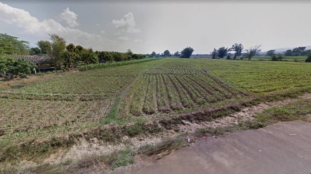 ภาพจากประกาศต้นทาง ไม่ใช่ภาพที่เราถ่ายเอง