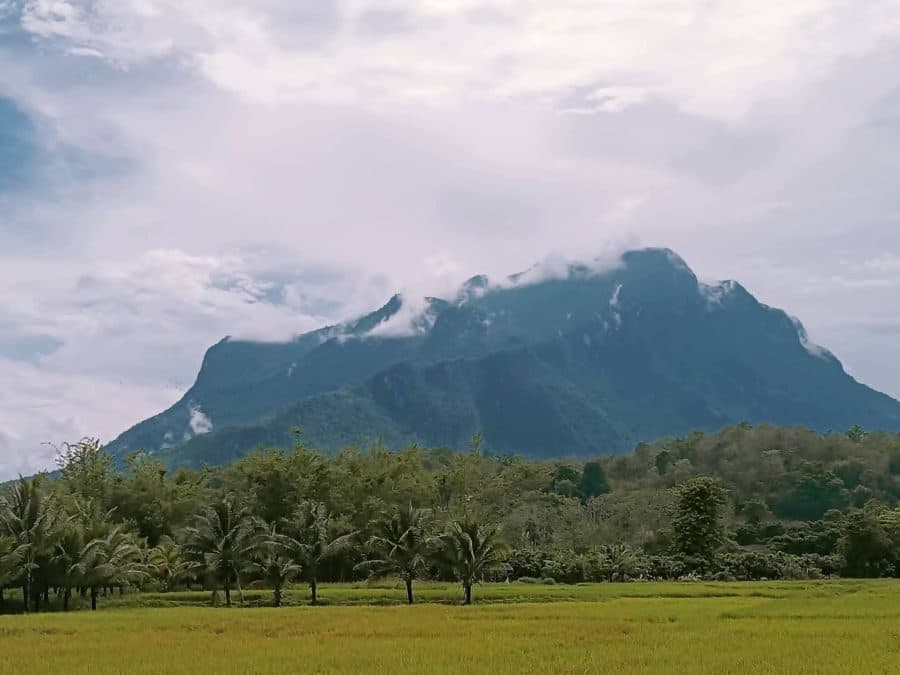 ภาพจากประกาศต้นทาง ไม่ใช่ภาพที่เราถ่ายเอง