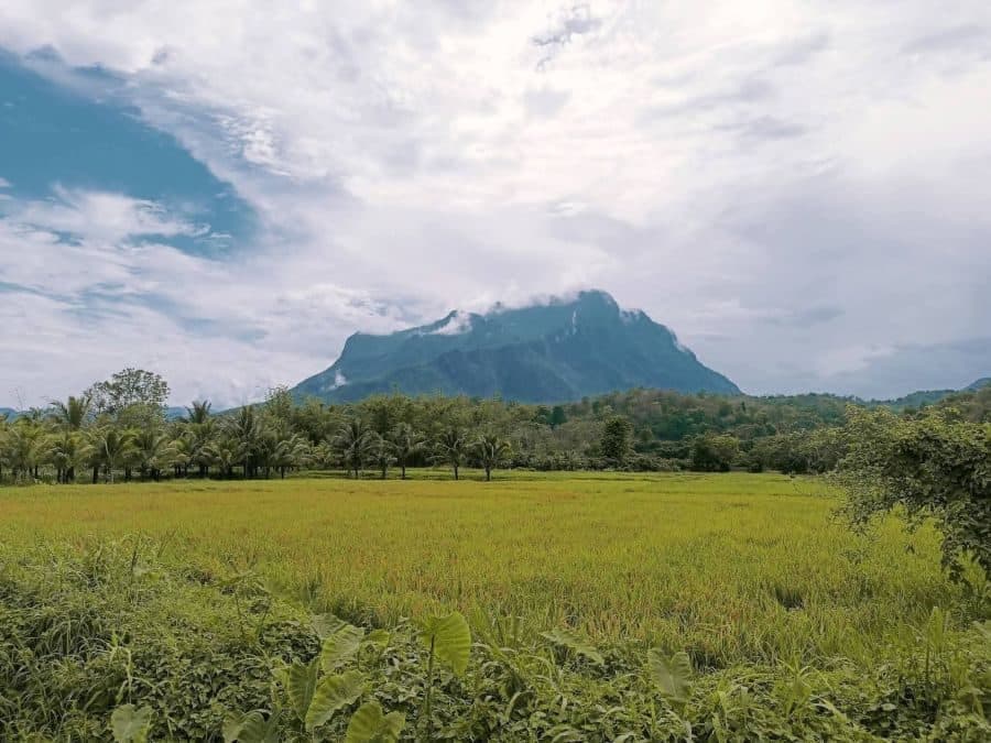 ภาพจากประกาศต้นทาง ไม่ใช่ภาพที่เราถ่ายเอง