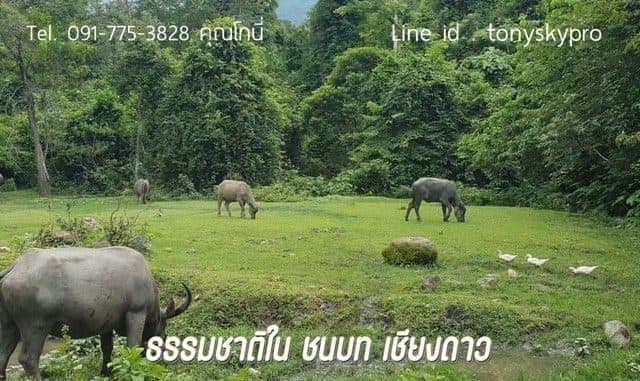 ภาพจากประกาศต้นทาง ไม่ใช่ภาพที่เราถ่ายเอง