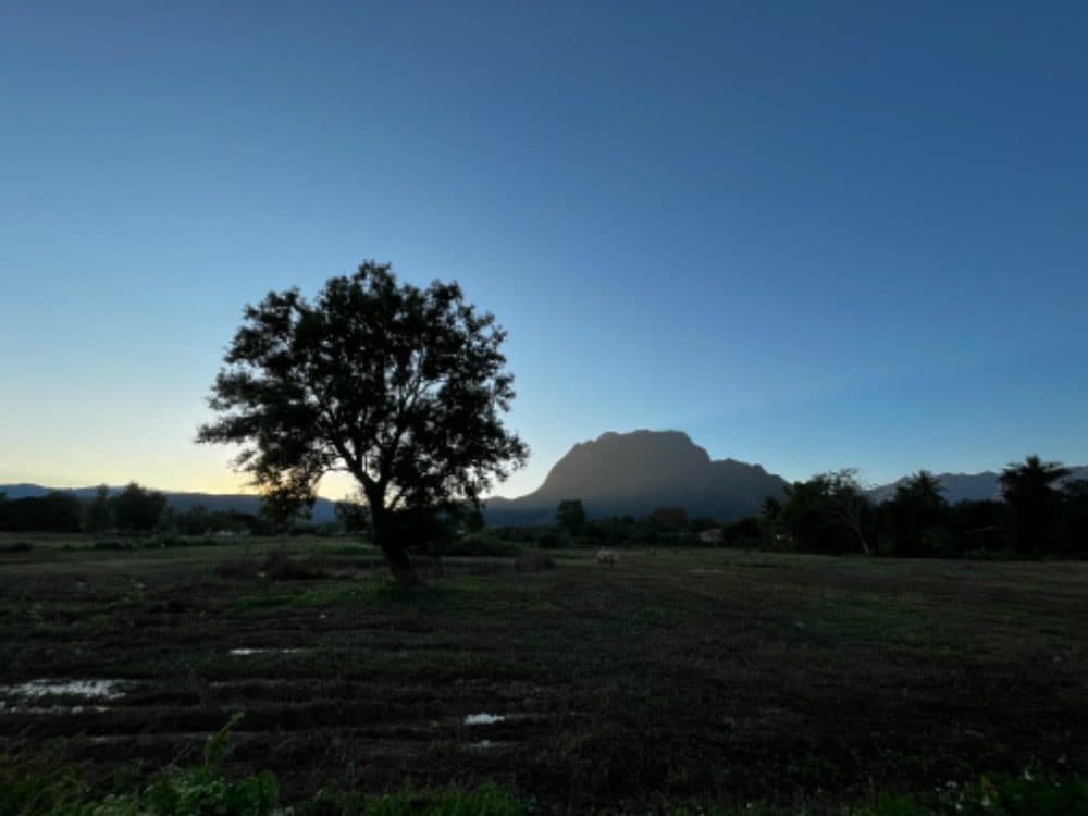 ภาพจากประกาศต้นทาง ไม่ใช่ภาพที่เราถ่ายเอง