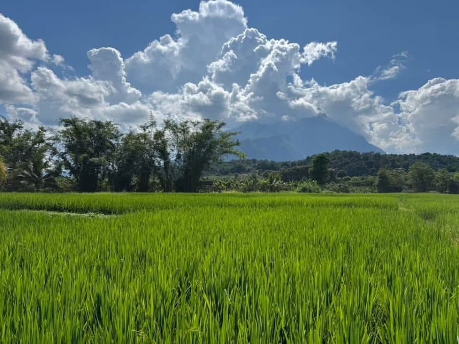 ภาพจากประกาศต้นทาง ไม่ใช่ภาพที่เราถ่ายเอง