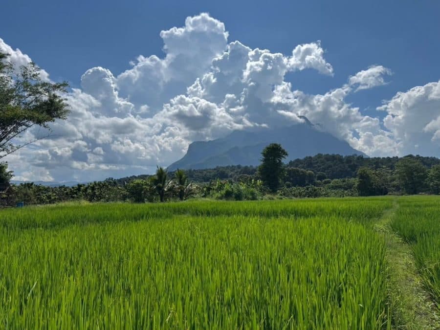 ภาพจากประกาศต้นทาง ไม่ใช่ภาพที่เราถ่ายเอง