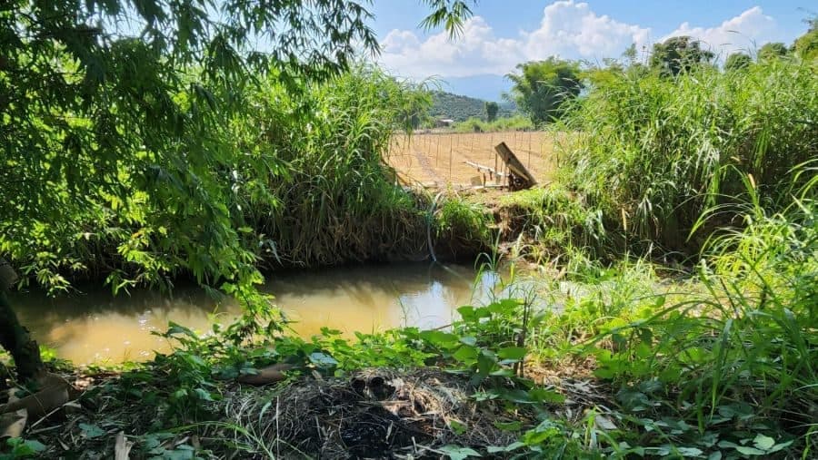 ภาพจากประกาศต้นทาง ไม่ใช่ภาพที่เราถ่ายเอง