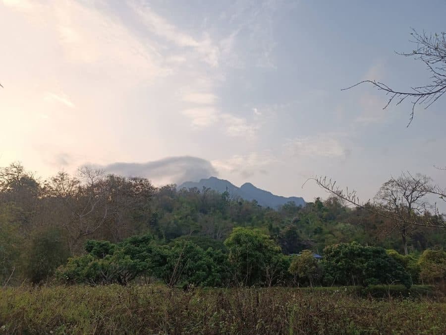 ภาพจากประกาศต้นทาง ไม่ใช่ภาพที่เราถ่ายเอง