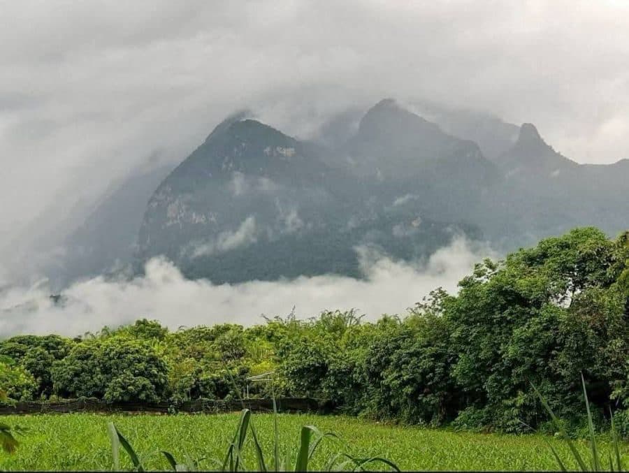 ภาพจากประกาศต้นทาง ไม่ใช่ภาพที่เราถ่ายเอง