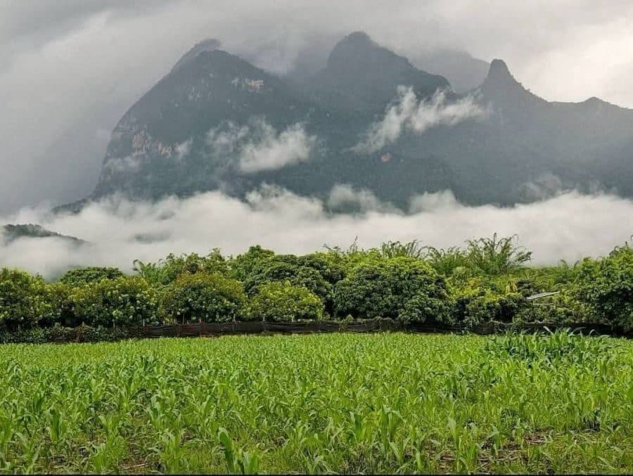 ภาพจากประกาศต้นทาง ไม่ใช่ภาพที่เราถ่ายเอง