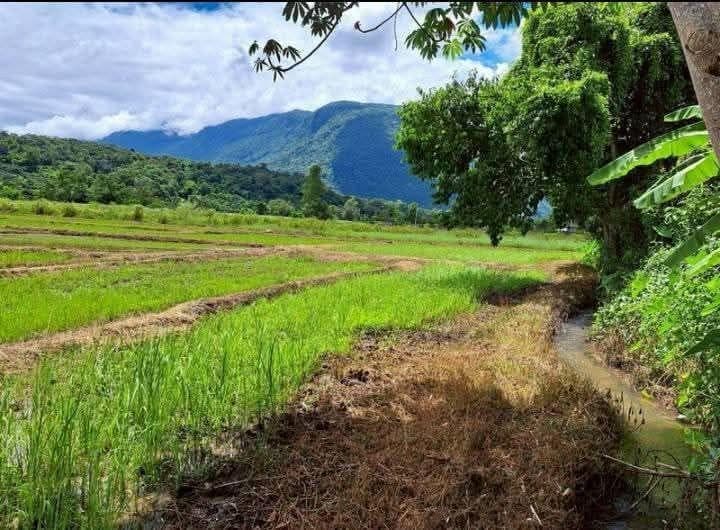 ภาพจากประกาศต้นทาง ไม่ใช่ภาพที่เราถ่ายเอง