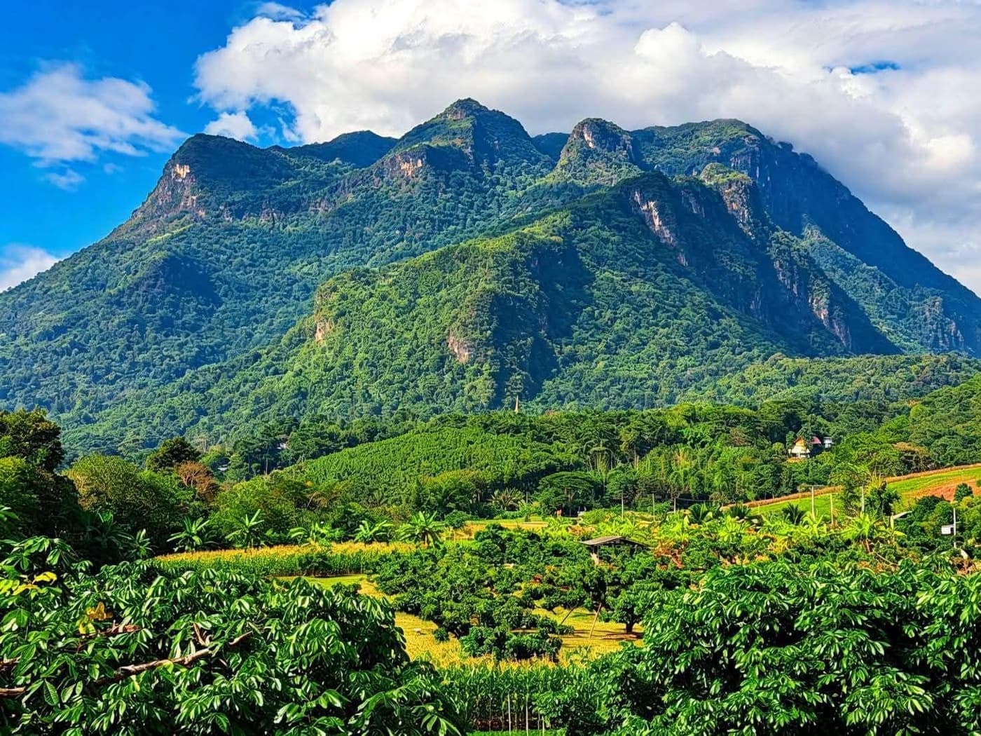 ภาพจากประกาศต้นทาง ไม่ใช่ภาพที่เราถ่ายเอง