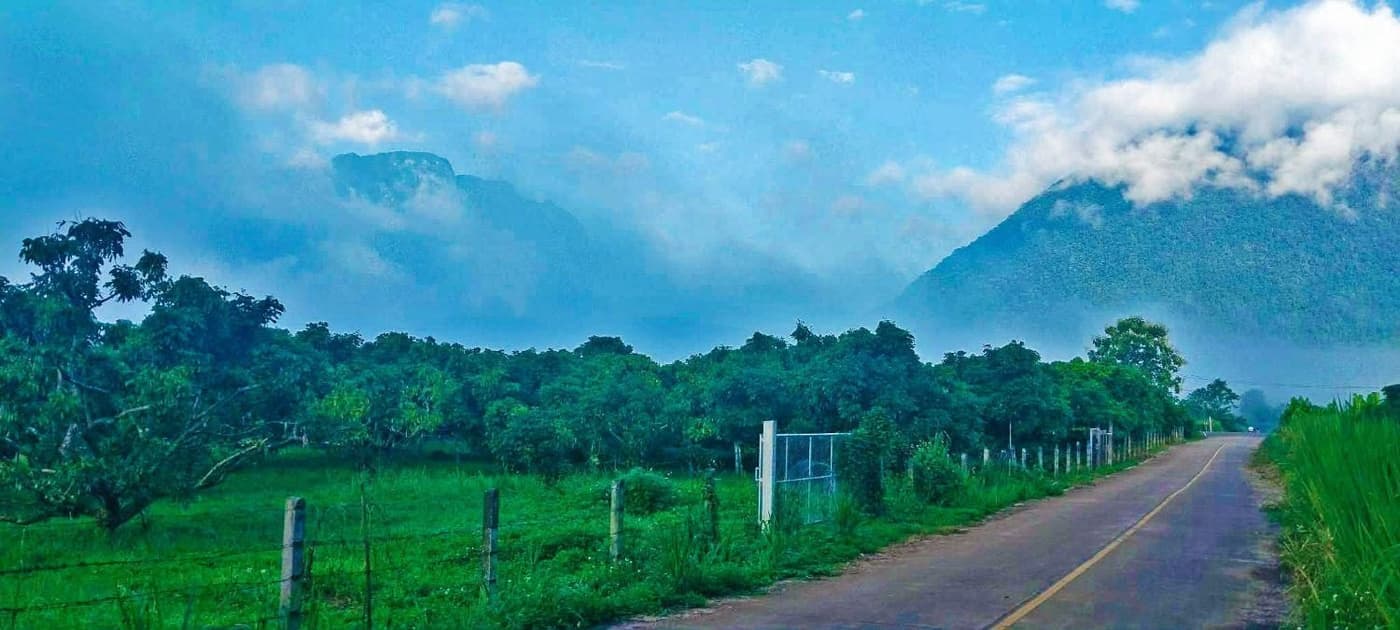 ภาพจากประกาศต้นทาง ไม่ใช่ภาพที่เราถ่ายเอง