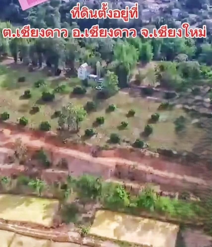 ภาพจากประกาศต้นทาง ไม่ใช่ภาพที่เราถ่ายเอง