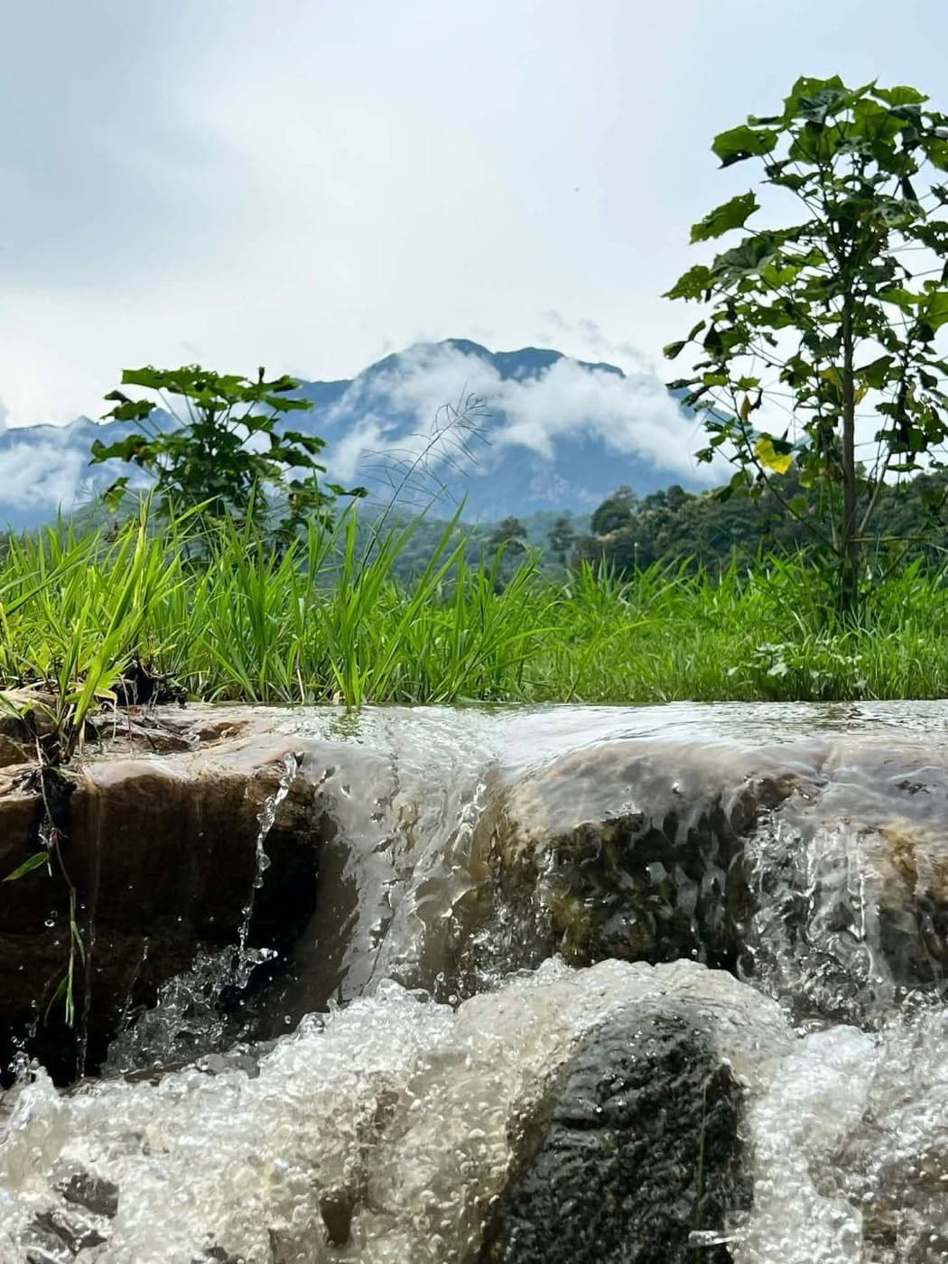 ภาพจากประกาศต้นทาง ไม่ใช่ภาพที่เราถ่ายเอง