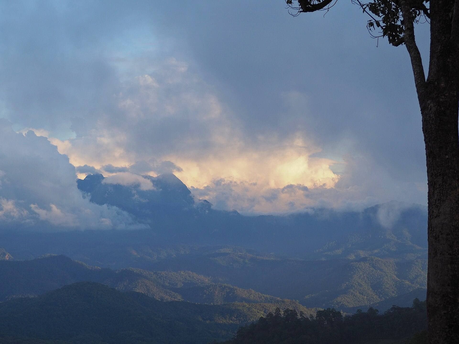 เมฆฝนก่อตัวเหนือเทือกดอยหลวงเชียงดาว มองผ่านต้นไม้ริมหุบ