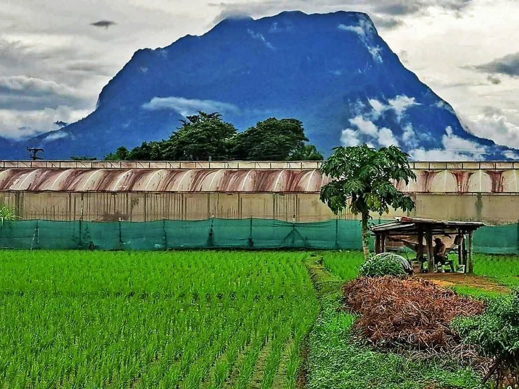 ภาพจากประกาศต้นทาง ไม่ใช่ภาพที่เราถ่ายเอง