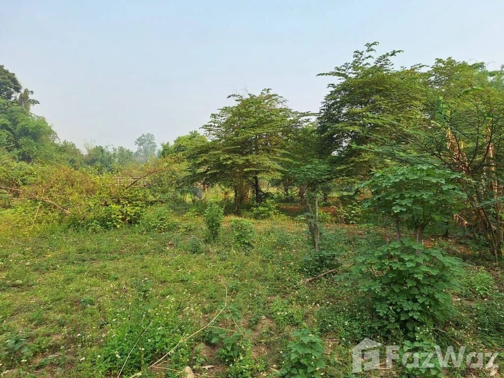 Photograph from the source listing, not taken by us.