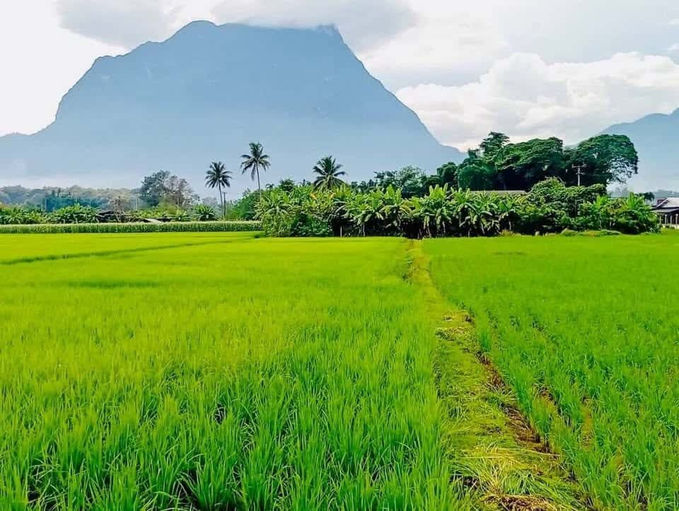 ภาพจากประกาศต้นทาง ไม่ใช่ภาพที่เราถ่ายเอง