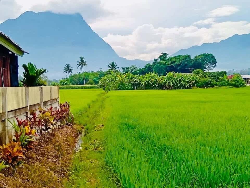 ภาพจากประกาศต้นทาง ไม่ใช่ภาพที่เราถ่ายเอง