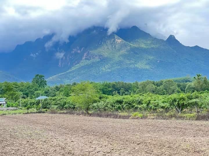 Photograph from the source listing, not taken by us.