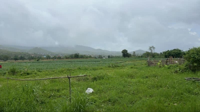 Photograph from the source listing, not taken by us.