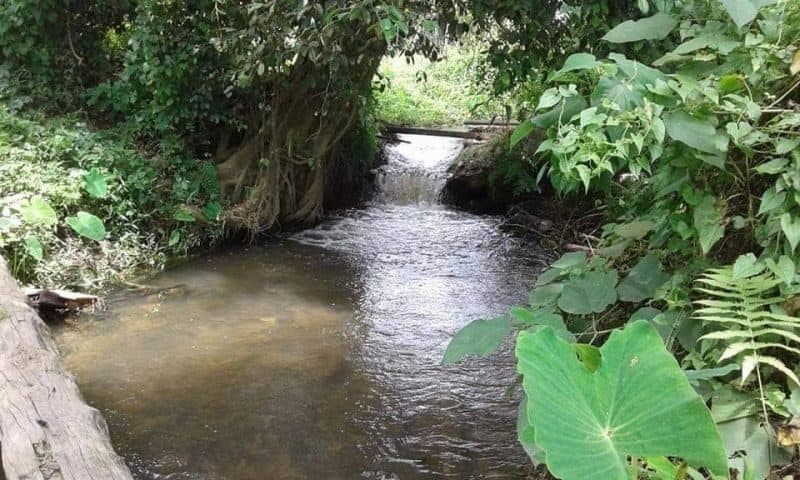 Photograph from the source listing, not taken by us.